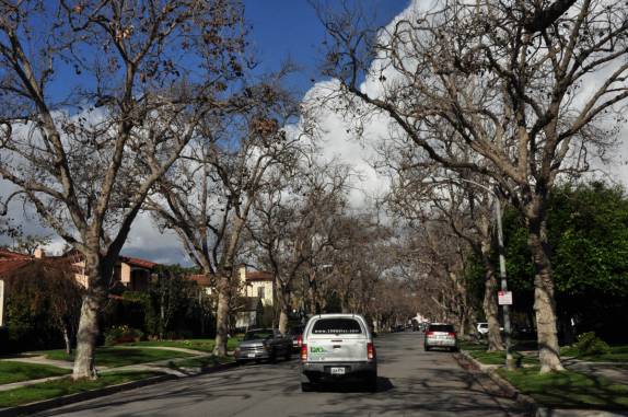 O tranquilo trecho residencial da famosa Rodeo Drive, em Beverly Hills, Los Angeles, na Califórnia - Estados Unidos